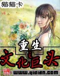 《重生之文化巨头》