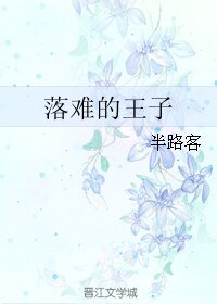 《落难的王子》