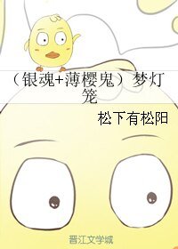 《(银魂+薄樱鬼同人)梦灯笼》