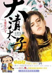 重生大清太子（系统）