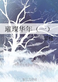 《璀璨华年》