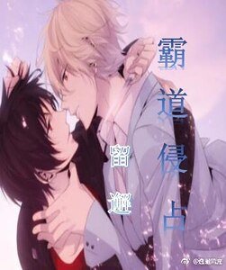 《霸道侵占》