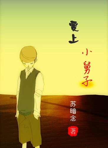 爱上小舅子