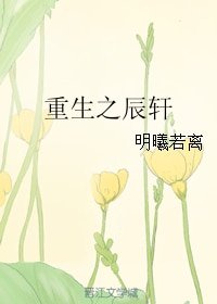 《重生之辰轩》