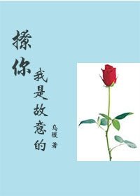 《撩你我是故意的/直男大叔税了我》