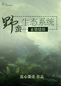 《玄错错的叶蛮生酞系统》