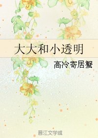 《大大和小透明》