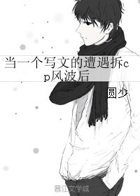 《当一个写文的遭遇拆cp风波后》