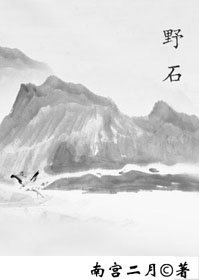 《野石》