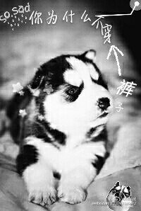 《你为什么不穿裤子》