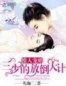 《宠婚到底:三少的保贝妻》
