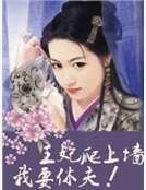《王妃爬上墙:我要休夫!》