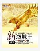 《新海贼王》