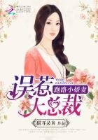 《误惹大总裁:跑路小娇妻》