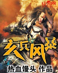 《玄兵风暴》