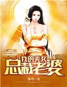 我的美女总裁老婆