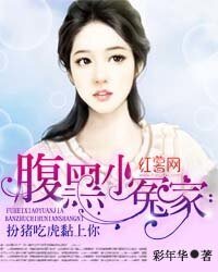 《腹黑小冤家:扮猪吃虎黏上你》
