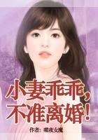 《老婆乖乖,不准离婚!》