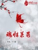 《魂归莱茵》