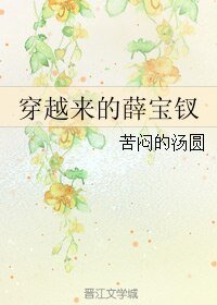 （红楼梦同人）穿越来的薛宝钗
