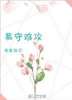 《易守难攻》