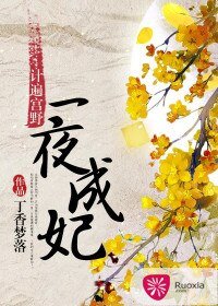 计遍宫野：一夜成妃