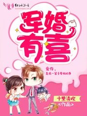 《军婚有喜》