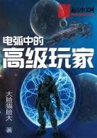 《电弧中的高级玩家》