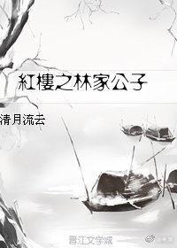 《(红楼同人)红楼之林家公子》
