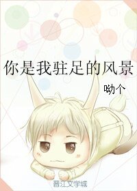 《你是我驻足的风景》