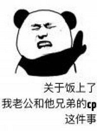 《关于饭上了我老公和他兄地的CP这件事》