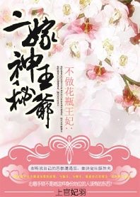 《不做花瓶王妃:二嫁神秘王爷》