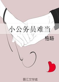 小公务员难当
