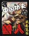 《会中国功夫的兽人》