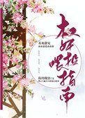 《权奸投喂指南》