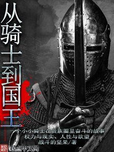 《从骑士到国王》