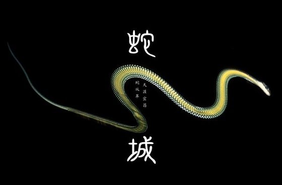 《蛇城(一个城市七十万人噤声往事)》