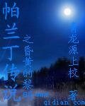 《帕兰丁传说昏黄的黎明》