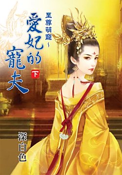《至尊萌宠~爱妃的宠夫(下)》