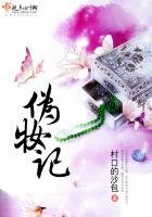 《伪妆记》
