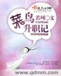 《菜鸟升职记》