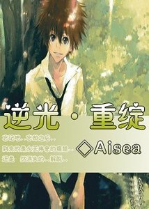 《(家教同人)逆光·重绽》