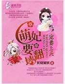 宠妻上天之萌妃要翻墙