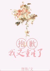 抱歉，我又重生了