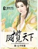 凤揽天下
