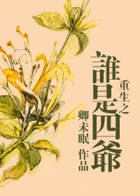 《重生之谁是四爷》
