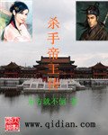 杀手帝王传