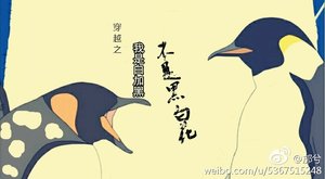 《穿越之我是白加黑不是黑白花》