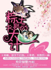 （盗墓笔记同人）粽王的娶夫大计