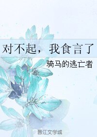 《对不起,我食言了》